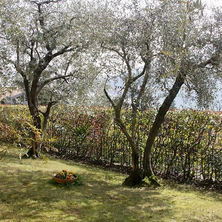 Sarnico Giardino Sul Lago Buitenkant foto